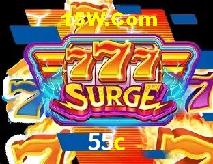 55c - Customer Support